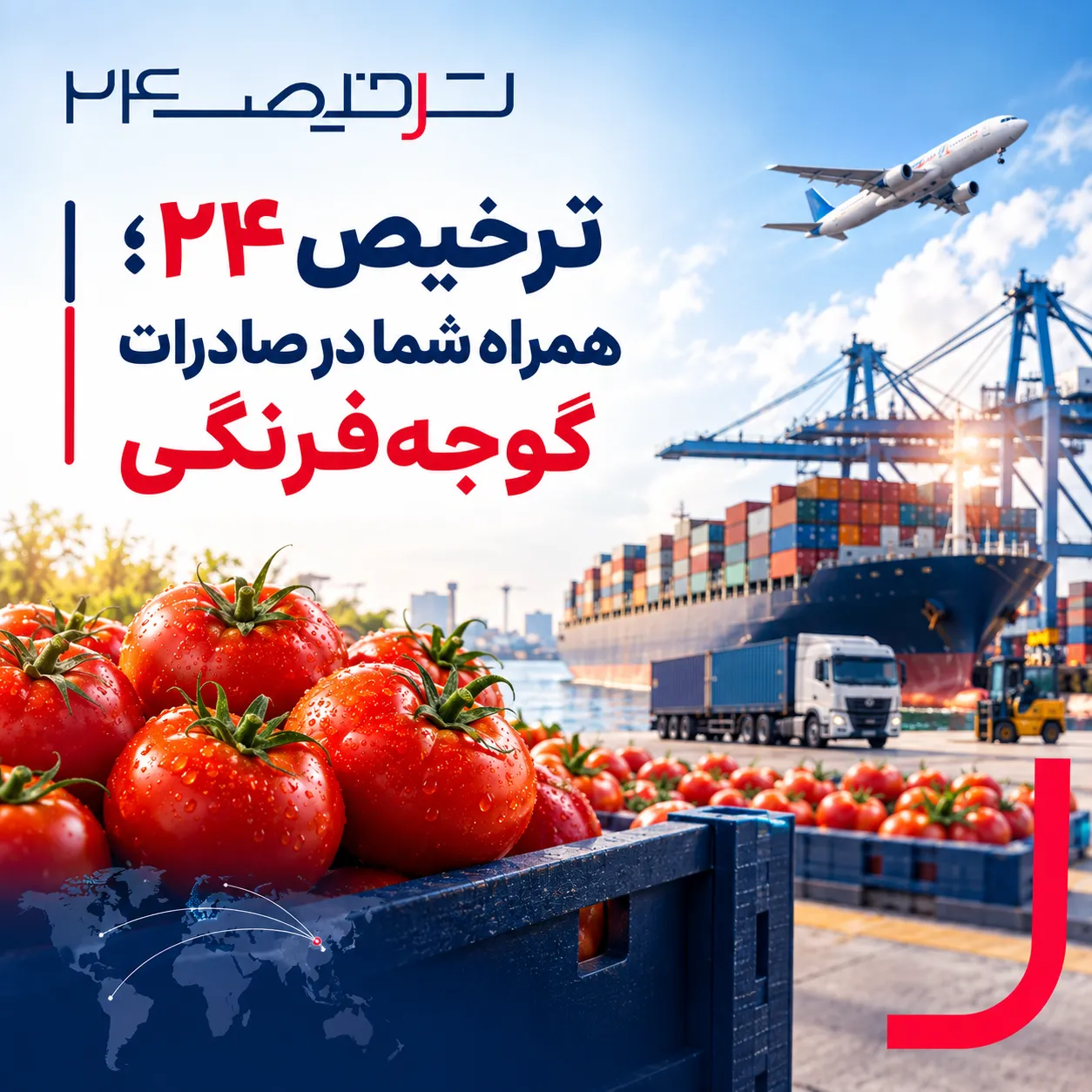 تیم ترخیص۲۴ در حال ترخیص محموله صادراتی گوجه‌فرنگی